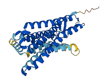 OR52D1 3D structure