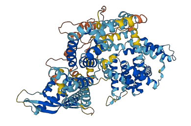 SNX25 3D structure