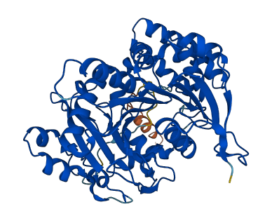 CPVL 3D structure