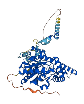 TRIT1 3D structure
