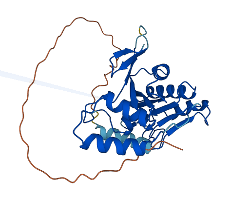 C11orf68 3D structure
