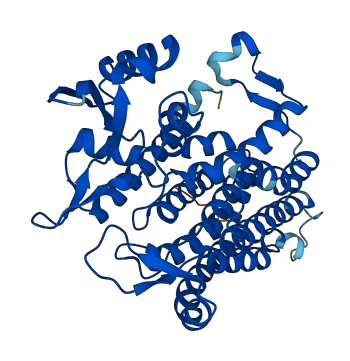 DPAGT1 3D structure