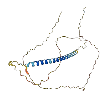 TCEAL2 3D structure