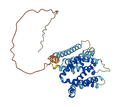 GHITM 3D structure