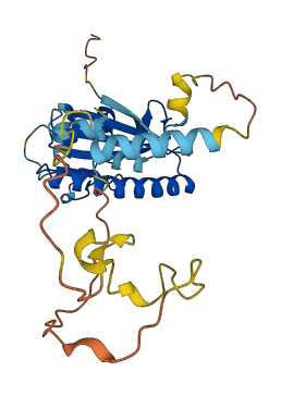MMADHC 3D structure