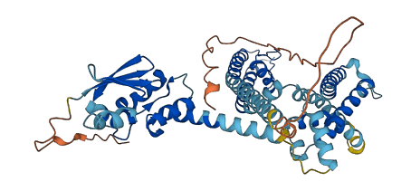 KCNF1 3D structure