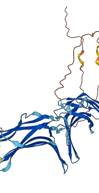 TXNIP 3D structure