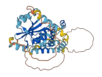 ATXN3L 3D structure