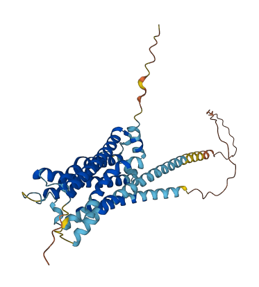 HRH4 3D structure