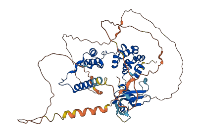 NELFA 3D structure