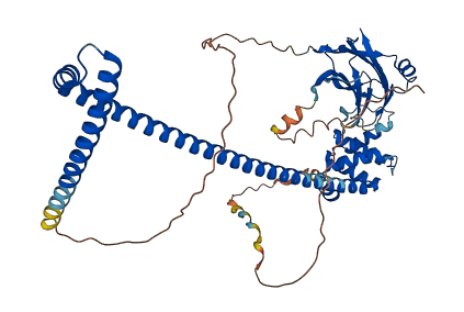 ACBD3 3D structure