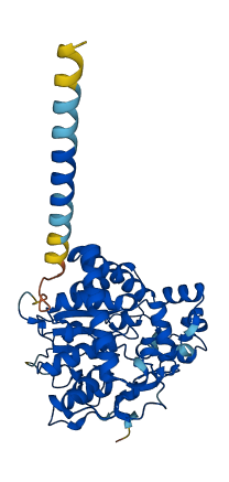GAL3ST2 3D structure