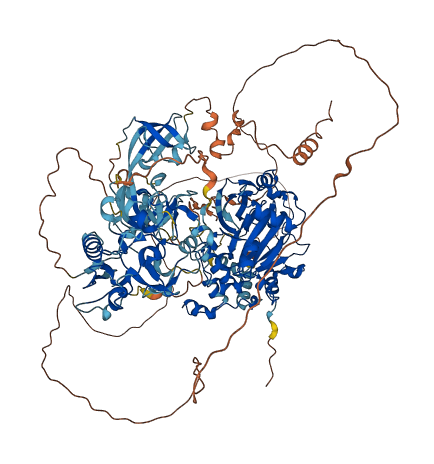 KDM4C 3D structure