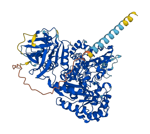 NDST4 3D structure