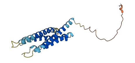 MS4A5 3D structure
