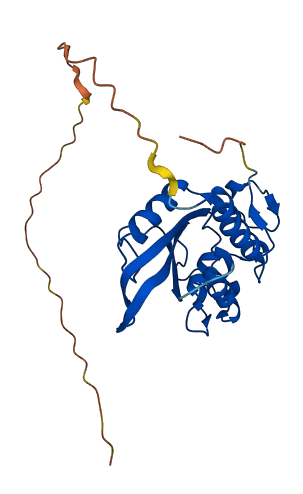 R3HDML 3D structure