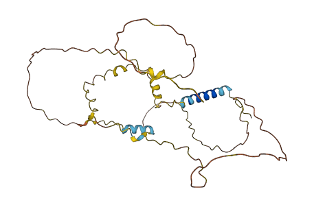 LIME1 3D structure