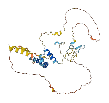 C1orf198 3D structure