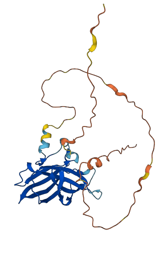 RIMS4 3D structure