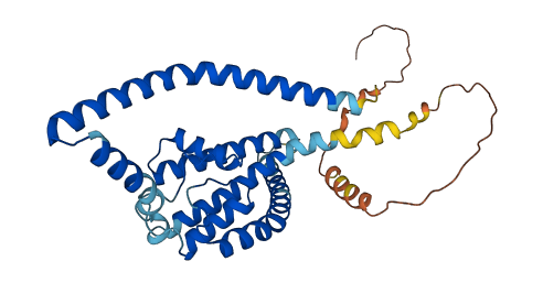 KCNK15 3D structure