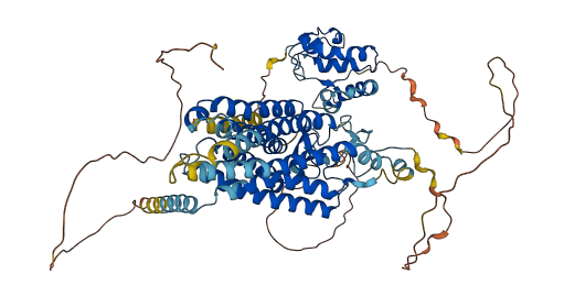 FZD8 3D structure