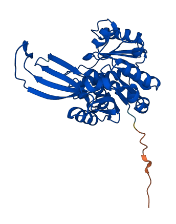RBKS 3D structure