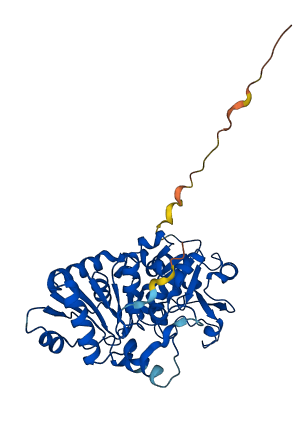POFUT1 3D structure