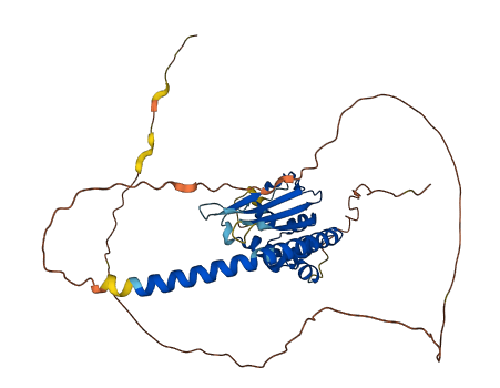 TSPY26P 3D structure