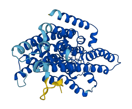 PIGU 3D structure