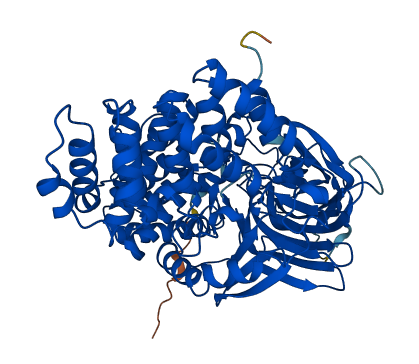 RNPEP 3D structure