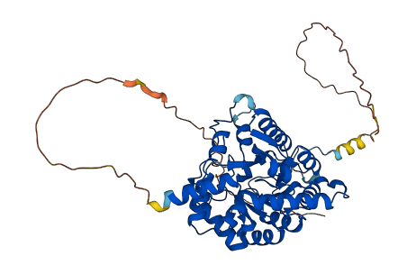 DPEP2 3D structure