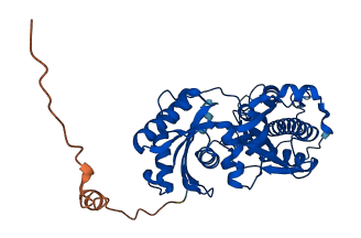 OSGEPL1 3D structure
