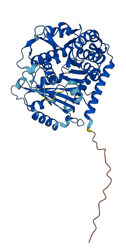 TUBB1 3D structure