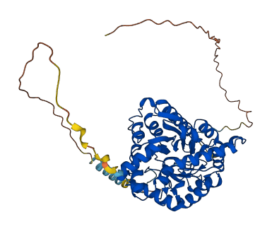 DPEP3 3D structure