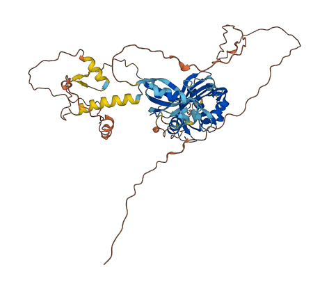 NXF3 3D structure