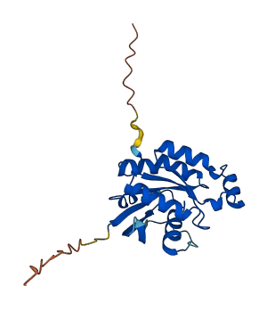 RHOJ 3D structure