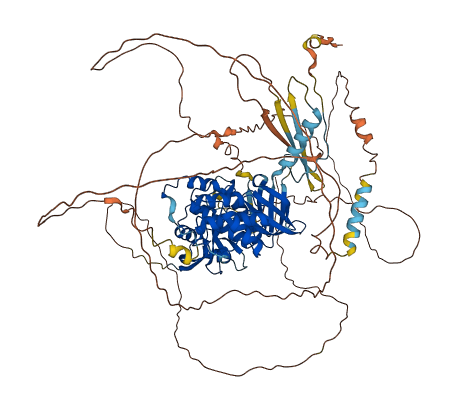 EPB41L1 3D structure