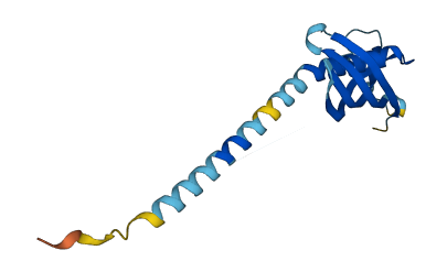 CST9L 3D structure