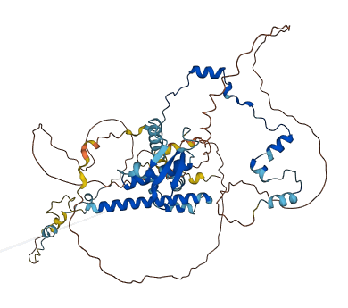 RAD21L1 3D structure