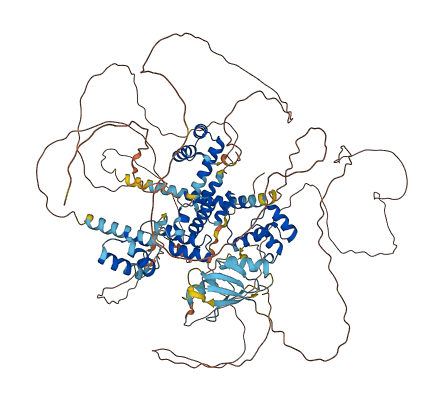 ZHX3 3D structure
