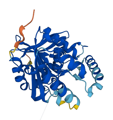SERHL2 3D structure