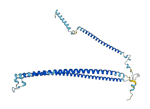 RIBC2 3D structure