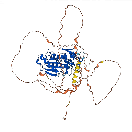 SENP3 3D structure