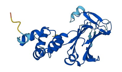 FBXO44 3D structure