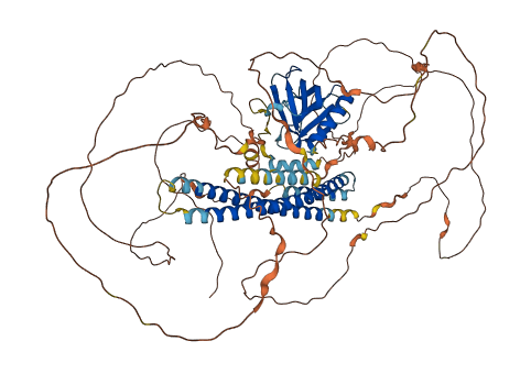 PLEKHA4 3D structure