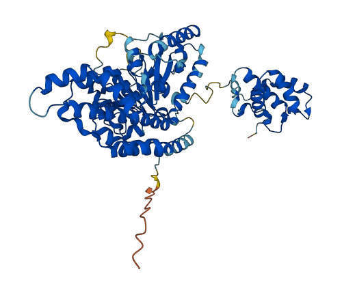 EHD1 3D structure