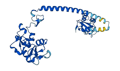 RNF41 3D structure