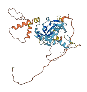 PRDM12 3D structure