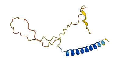 NCOR1P1 3D structure