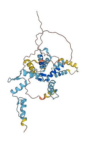 ZSCAN16 3D structure